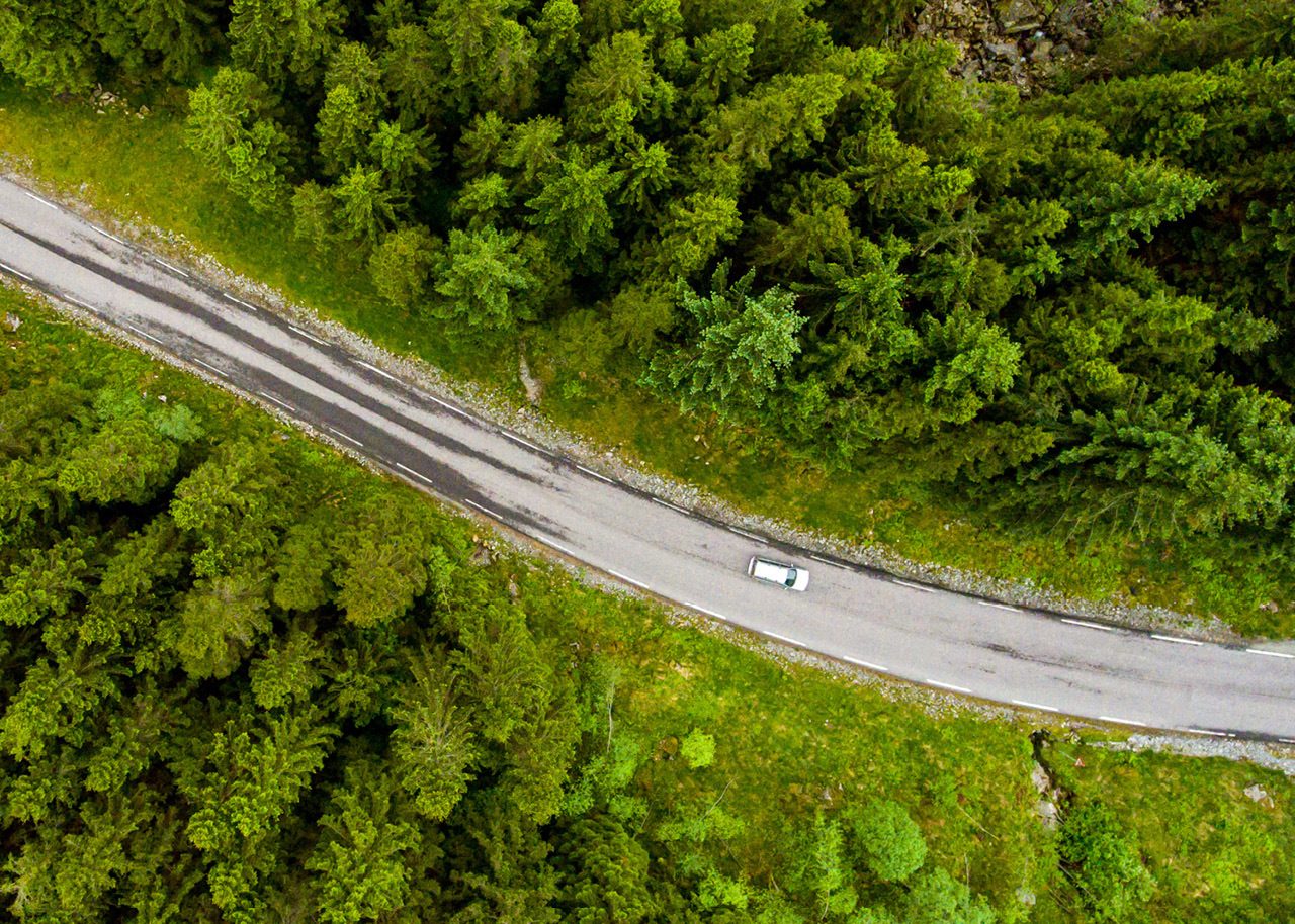 Winding road in the middle of a green forest