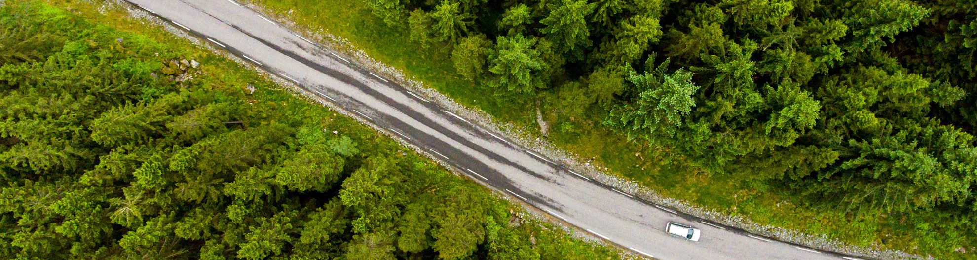 Winding road in the middle of a green forest